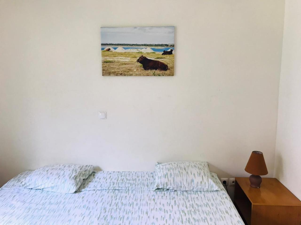Residencial Lela D'Fermina Ξενοδοχείο Pombas Εξωτερικό φωτογραφία